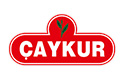 Çaykur