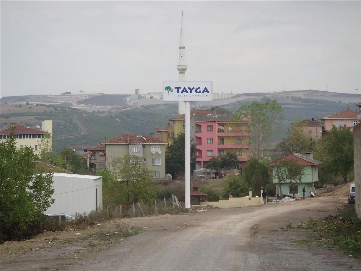 TAYGA BORU ÜZERİ IŞIKLI TOTEM TABELA